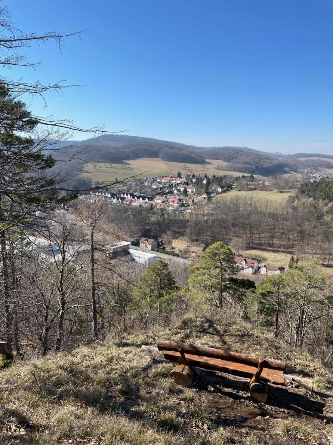 Apartment Waldfrieden Mit Sauna Ruhla