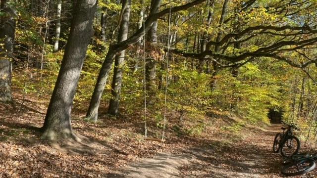 Waldfrieden Mit Sauna Ruhla