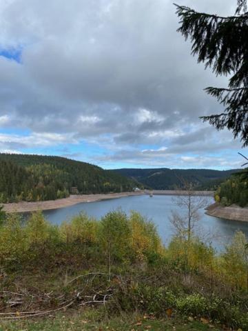 Waldfrieden Mit Sauna Ruhla